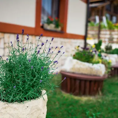 Patja-v Mesiacoch April Az November Pri Prenajati Aj Jedneho Apartmanu Uzavrieme Ostatne Apartmany, Aby Ste Si Uzili Sukromie Valča